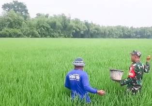 http://www.gardatipikornews.com/ormas-laki-aceh-timur-desak-polda-aceh-dan-kejati-aceh-periksa-lhp-bpk-aceh-timur-ta-2021