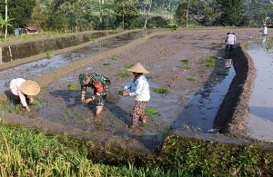 http://www.gardatipikornews.com/peduli-kesehatan-masyarakat-koramil-kepohbaru-bojonegoro-gelar-bakti-sosial-donor-darah