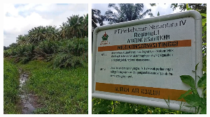 http://www.gardatipikornews.com/kasat-narkoba-polres-batu-bara-diduga-terima-setoran-2-miliar-dari-bandar-narkoba-bento