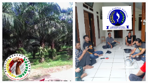 http://www.gardatipikornews.com/pembayaran-150-unit-tenaga-kerja-program-bsps-digelar-di-kediaman-suyanta-berjalan-lancar