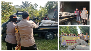 http://www.gardatipikornews.com/kapolresta-mamataram-kenaikan-pangkat-dan-pelepasan-purna-tugas-penghargaan-atas-dedikasi-dan-pengabdian