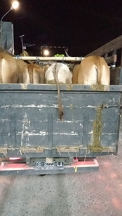 https://www.gardatipikornews.com/tim-puma-polres-lotara-berhasil-amankan-pelaku-pencurian-hp