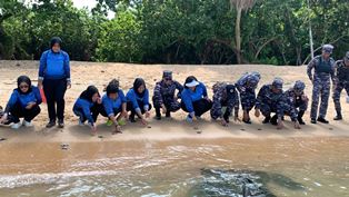 https://www.gardatipikornews.com/danlanal-tba-kunjungan-ke-pos-babinpotmar-sei-tawar