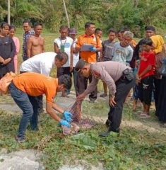 https://www.gardatipikornews.com/dengan-dalih-akan-diajukan-bantuan-dari-pemerintah-puluhan-warga-diduga-ditipu-oleh-seorang-ibu-rumah-tangga