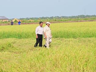 https://www.gardatipikornews.com/sekretaris-kabinet-berikan-arahan-untuk-tingkatkan-layanan-dan-inovasi-kepada-presiden-prabowo-dan-wakil-presiden-gibran