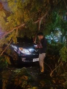 https://www.gardatipikornews.com/polres-sumbawa-barat-ungkap-kasus-tppo-amankan-satu-tersangka