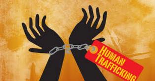 https://www.gardatipikornews.com/polres-cianjur-menggelar-konferensi-pers-hasil-kryd-awal-bulan-november-tahun-2024