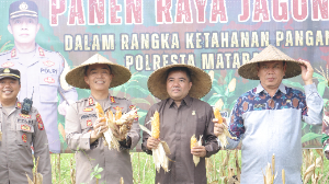 https://www.gardatipikornews.com/tragis-polsek-ampenan-tanggap-cepat-evakuasi-korban-gantung-diri-di-ampenan