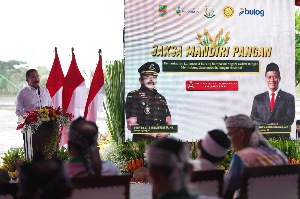 https://www.gardatipikornews.com/polri-akan-gelar-panen-raya-jagung-serentak-di-kabupaten-bengkayang-kalbar
