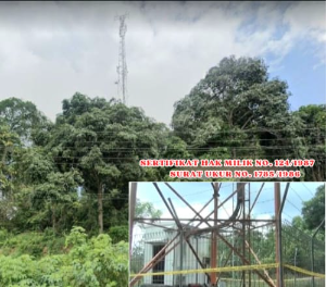 https://www.gardatipikornews.com/poskab-sapu-jagat-pusat-dan-pemerintah-sukabumi-bersinergi-dalam-wujudkan-swasembada-pangan-melalui-fgd