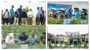 https://www.gardatipikornews.com/polda-sumbar-gelar-operasi-keselamatan-singgalang-2026