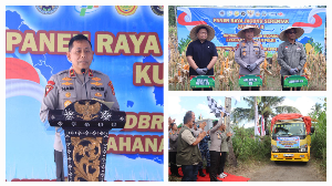 https://www.gardatipikornews.com/polda-ntb-intensifkan-patroli-wisata-di-senggigi-jaga-keamanan-destinasi-pariwisata