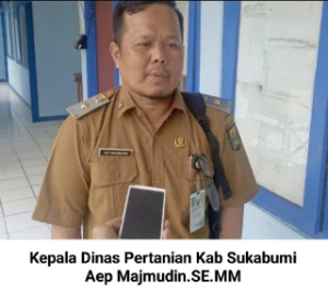 https://www.gardatipikornews.com/pers-adalah-pilar-ke4-negaraketum-pwdpi-sudah-saatnya-negara-perhatikan-nasib-jurnalis