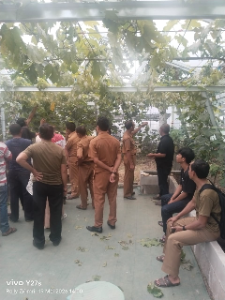 https://www.gardatipikornews.com/delegasi-pabuaran-optimis-raih-kejuruan-tingkat-kabupaten-sampai-provinsi-di-kopetensi-o2sn-fls2n-dan-pai-tingkat-kabupaten-sukabumi-2026