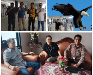 https://www.gardatipikornews.com/diduga-kayu-tpu-dijual-warga-soroti-sikap-aparat-penebangan-pohon-tpu-bedali-lawang-berujung-jalan-umum-jadi-lokasi-produksi-palet