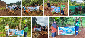 https://www.gardatipikornews.com/sambut-hut-bhayangkara-ke80-ditpolairud-polda-jambi-dan-polres-tanjab-barat-hijaukan-pesisir-dengan-tanam-mangrove