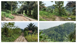 https://www.gardatipikornews.com/imb-terbitan-pemkot-denpasar-jangan-jadi-stempel-pembenar-pelanggar-sempadan-sungai-gallery-kohinoor