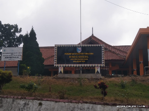 https://www.gardatipikornews.com/polsek-selaparang-patroli-rinjani-presisi-dini-hari-perkuat-pengamanan-di-titik-rawan-kamtibmas